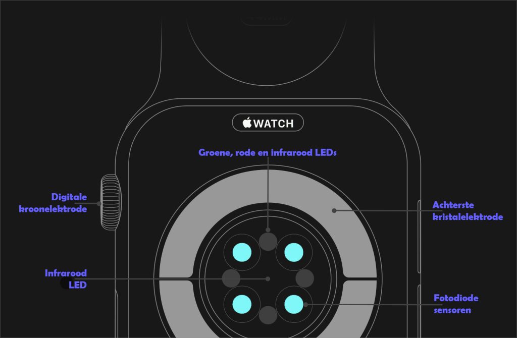 Hoe de achterkant van een Apple Watch de gezondheid van jou checkt.